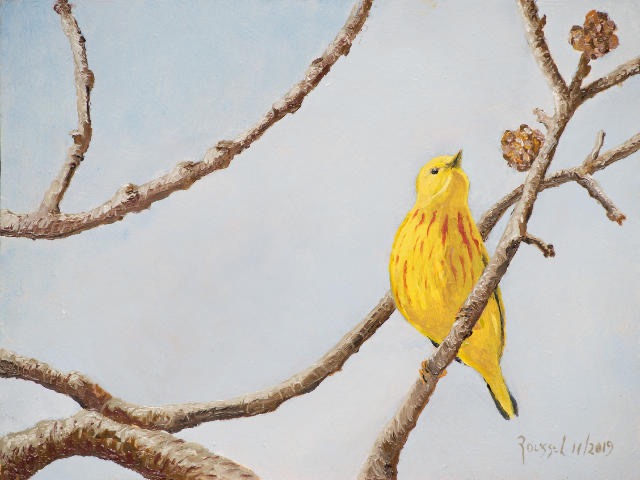<B>Paruline jaune</B> - mâle <BR>Huile sur panneau de bois <BR>15.24 cm x 20.32 cm  (6