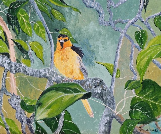 <B>Oriole de Bullock</B> <BR>Huile sur toile <BR>25.4 cm x 30.48 cm  (10