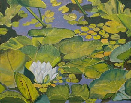 Water Lily 640.jpg