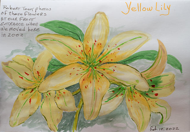 YellowLilies640