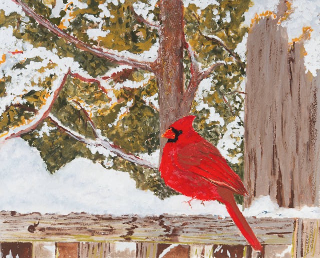 <B>Northern Cardinal - Male</B> <BR>Cardinal in Colin's backyard  <BR>Gouache on paper <BR>20.3 cm x 25.4 cm  (8