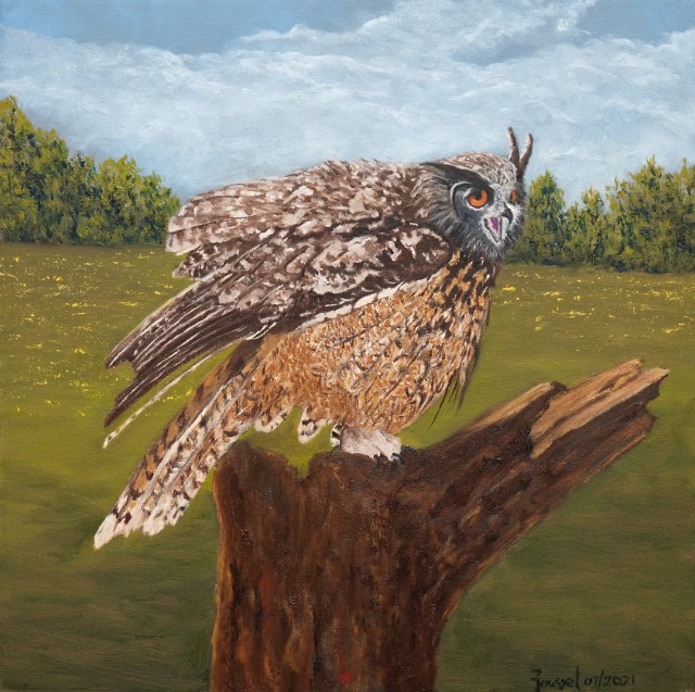 <B>Eurasian Eagle Owl</B>  <BR>Oil on gallery canvas <BR>45.72 cm x 45.72 cm  (18