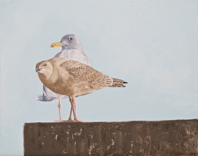 <B>Western Gulls</B> <BR>Oil on gallery canvas  <BR>40.64 cm x 50.8 cm (16” x 20”) - 2016