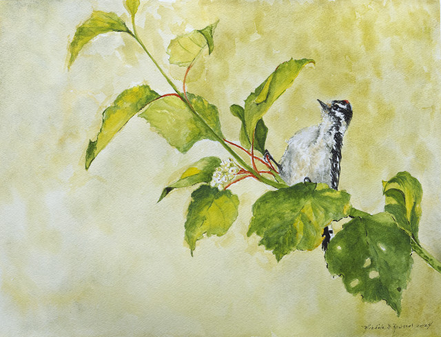 <B>Pileated Woodpecker - male</B> <BR>Oil on birch panel  <BR>60.96 cm x 45.72 cm  (24