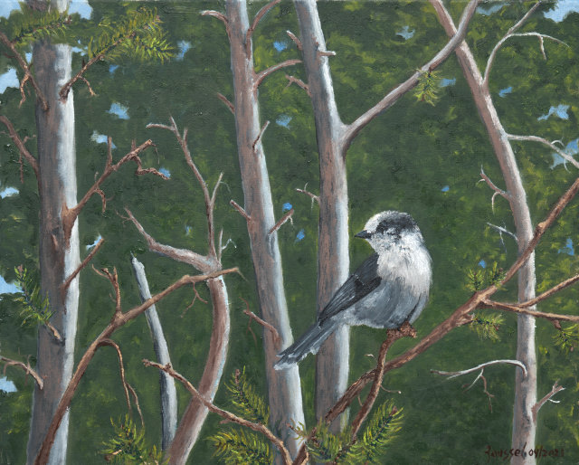 <B>Yellow Warbler</B> - male <BR>Oil on birch panel    <BR>15.24 cm x 20.32 cm  (6