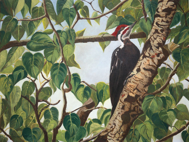 <B>Red-winged Blackbird</B> <BR>Female in a Field  <BR>Gouache on paper <BR>24.1 cm x 19.1 cm  (9.5