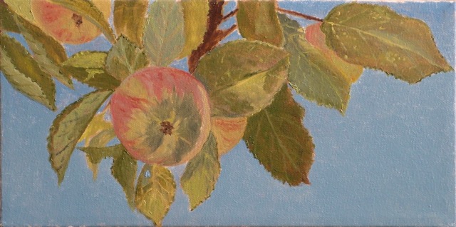  <B>Apple</B> (Study) <span style=color:red>●</span> <BR>Oil on canvas  <BR>15.24 cm x 30.48 cm  (6
