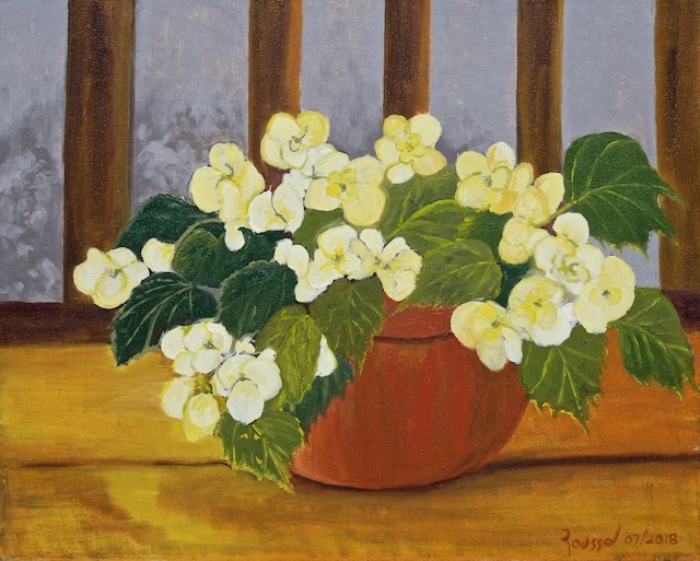 <B>The Yellow Begonia</B> <span style=color:purple>●</span>   <BR>Oil on canvas  <BR>40.64 x 50.8 cm (16