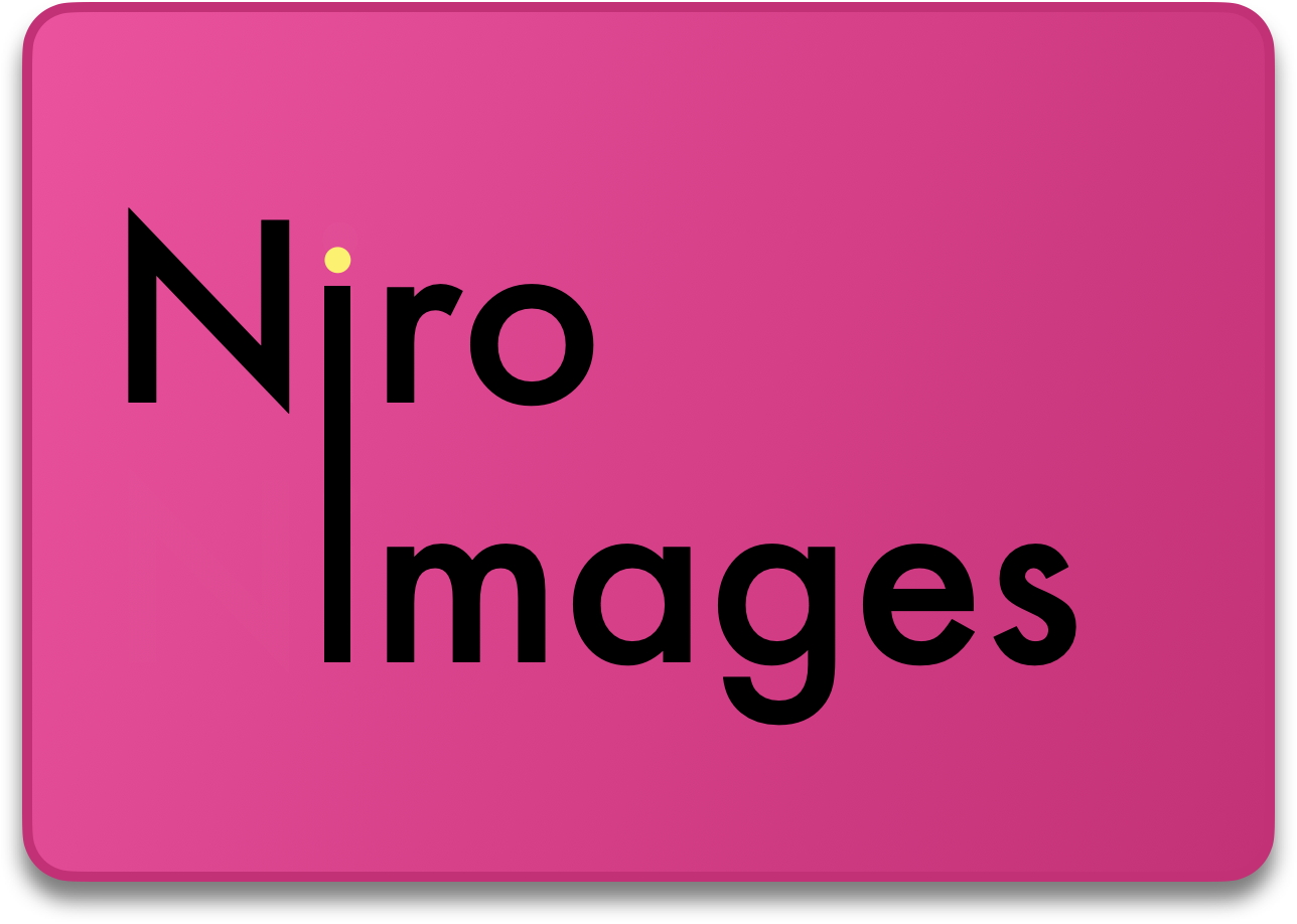 Graphic of Niroimages logo